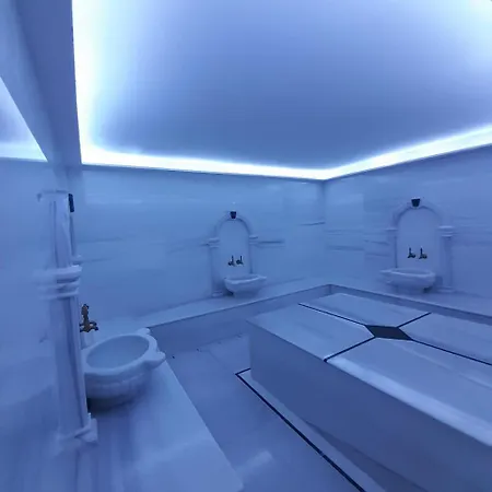 Abelia Luex Residans *