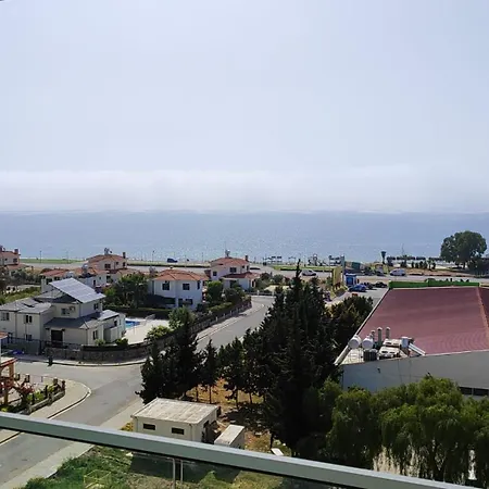 Abelia Luex Residans *