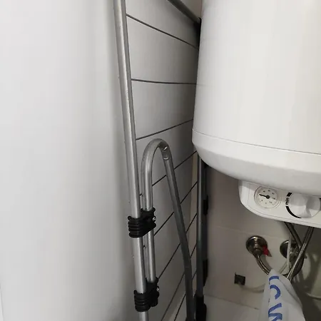 Abelia Luex Residans * Boghaz