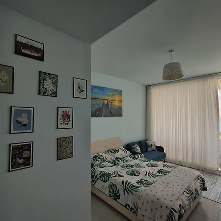 Abelia Luex Residans *