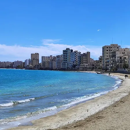 Abelia Luex Residans *