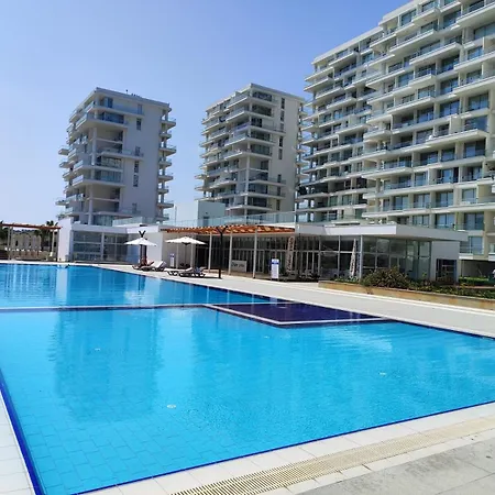 Abelia Luex Residans * Boghaz