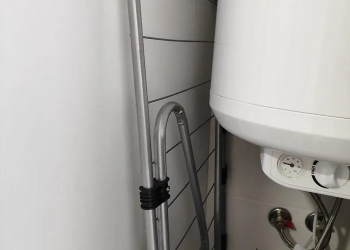 Abelia Luex Residans * Boghaz