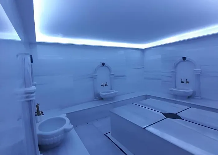 Abelia Luex Residans *