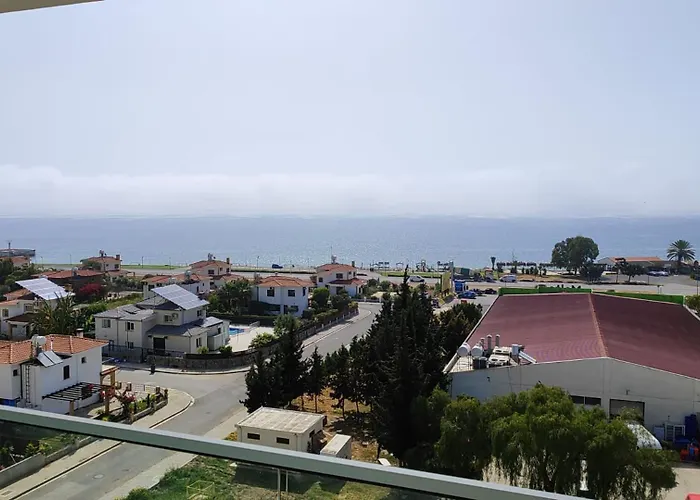 Abelia Luex Residans *